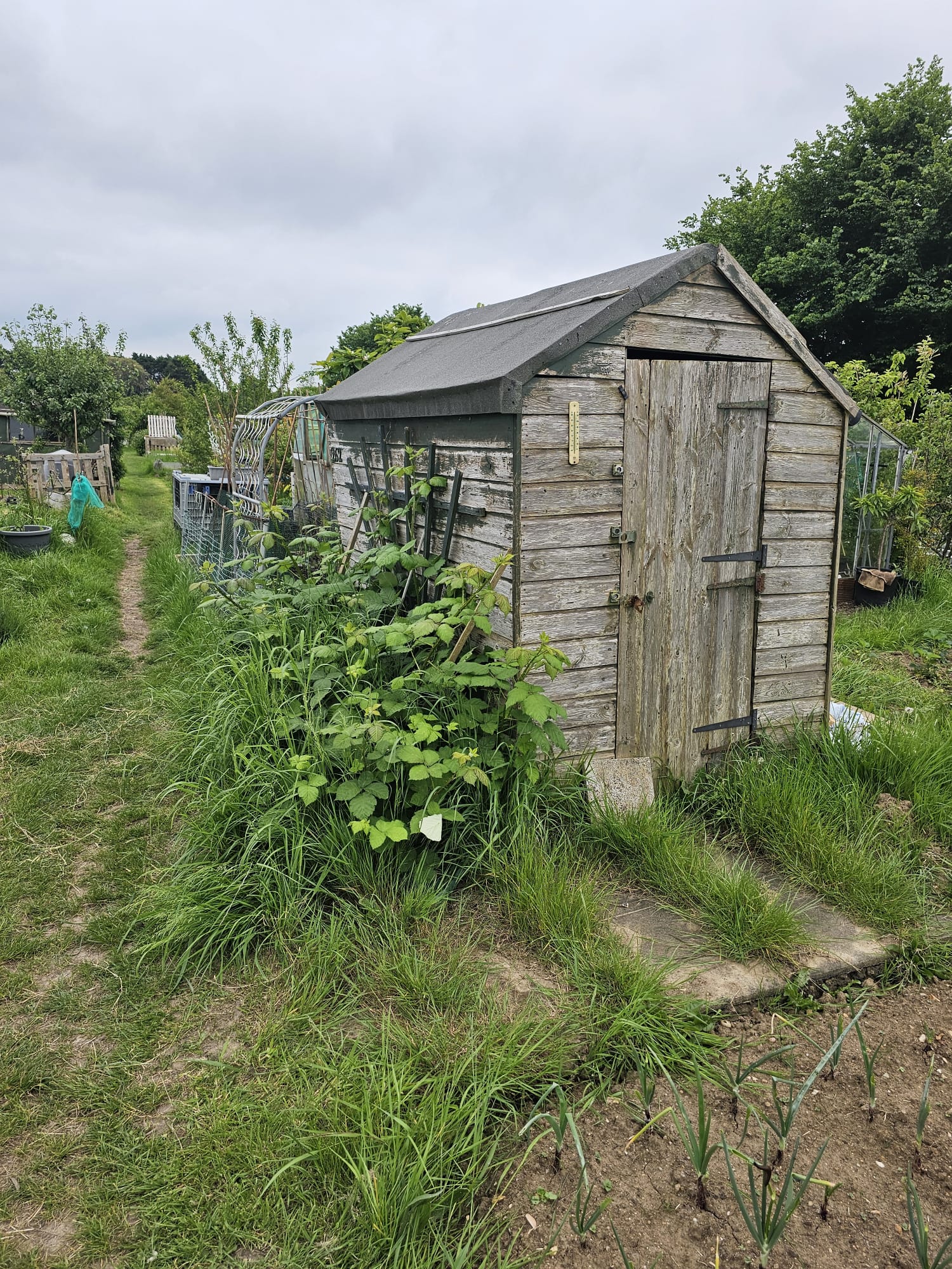 The inherited shed on plot two