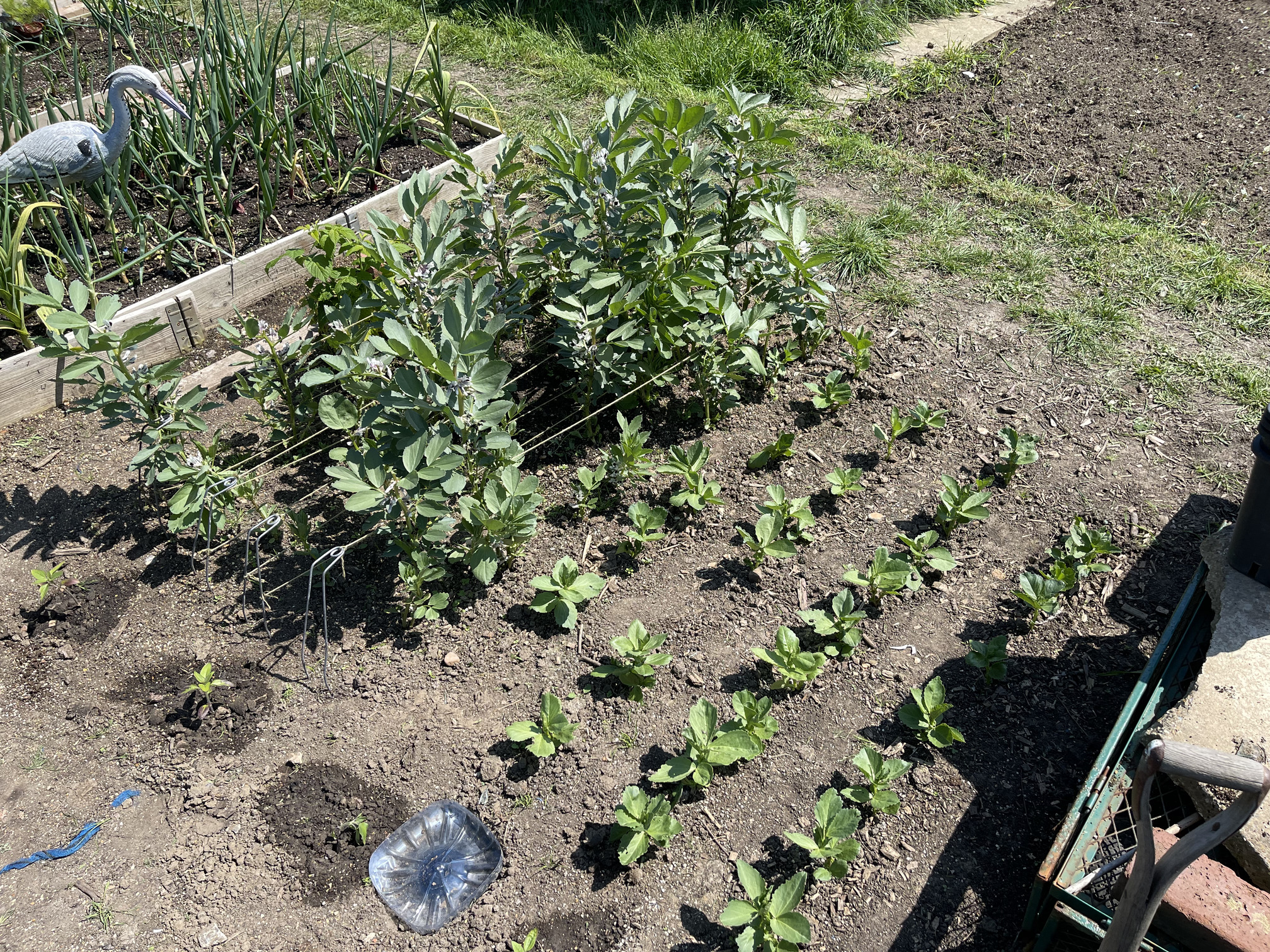 They’re catching up