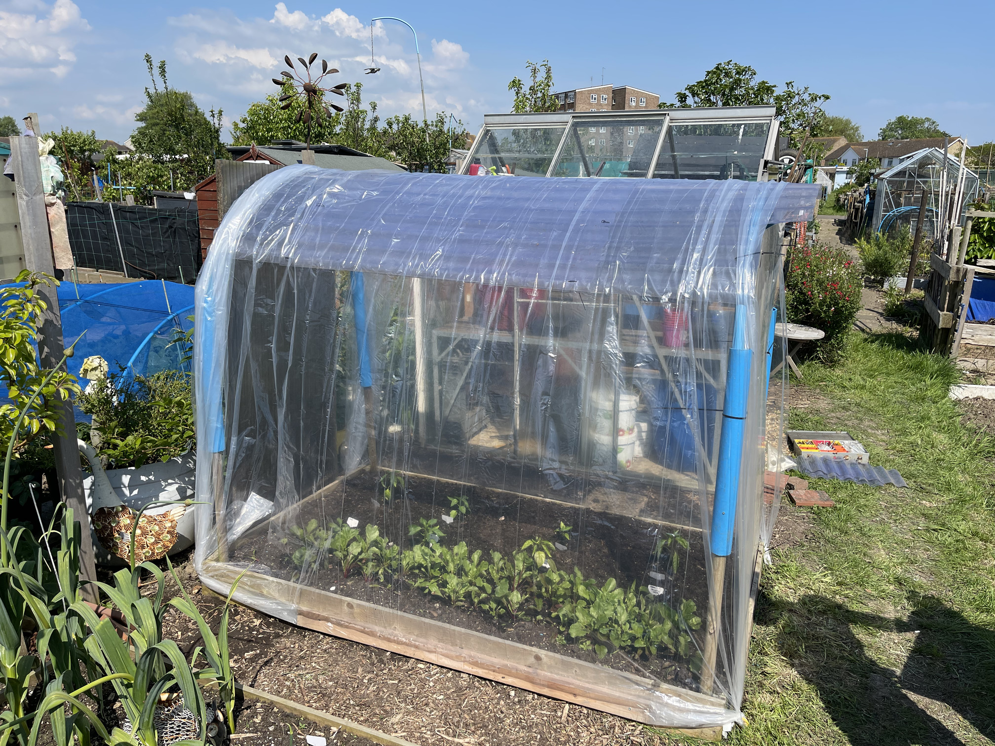 The other side of the pepper house