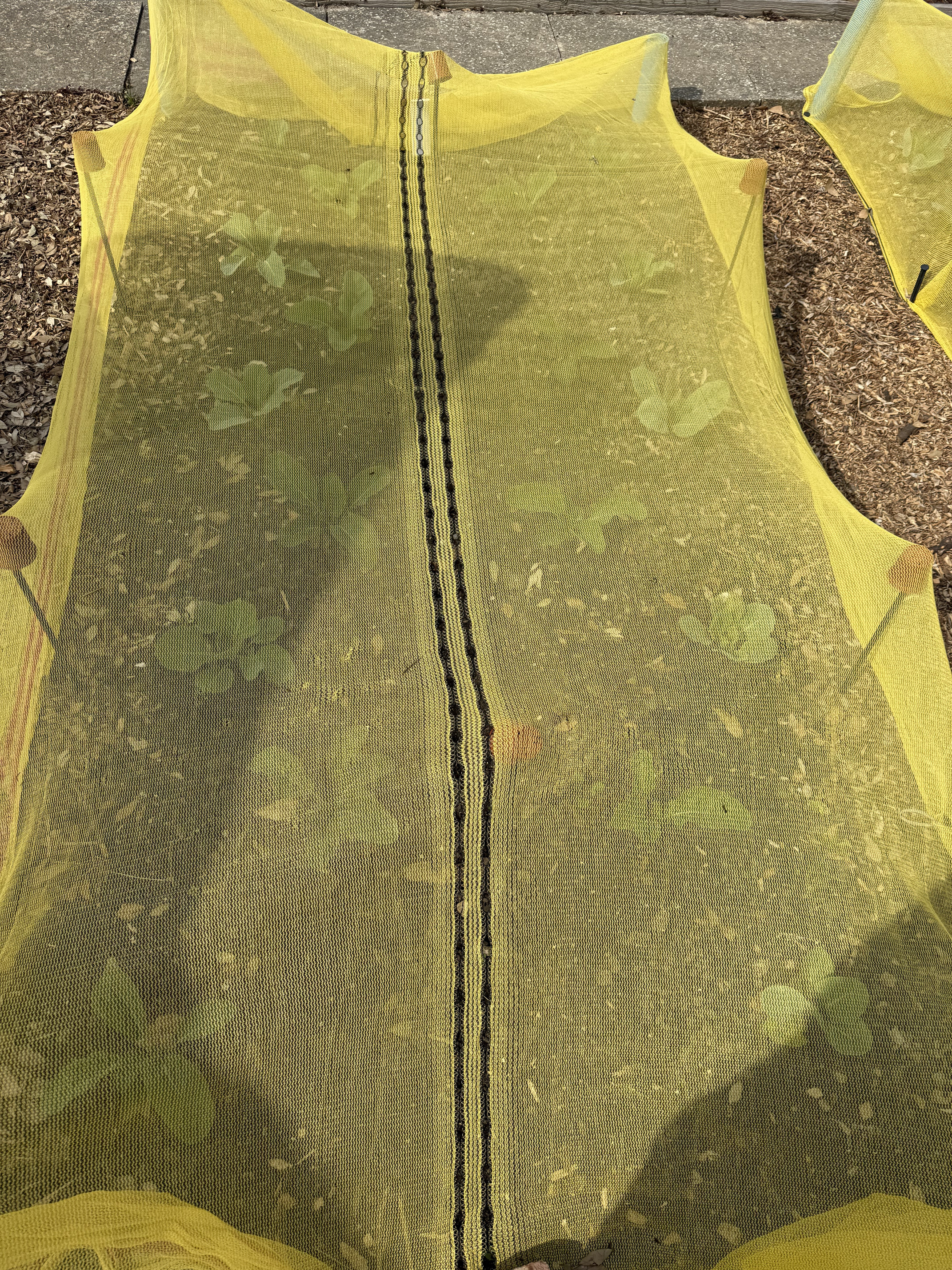 Smaller house for cabbages/caulis