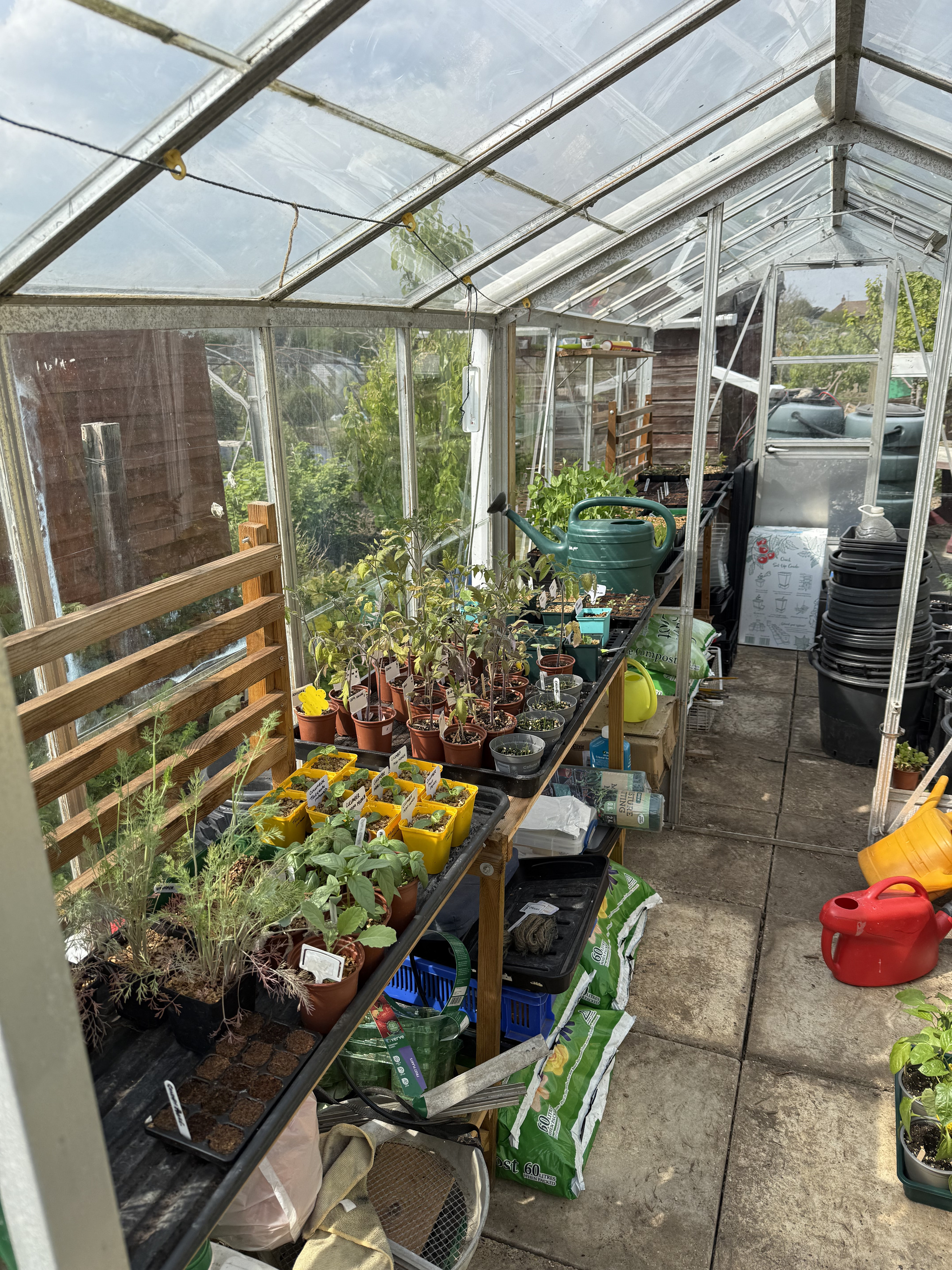 Big greenhouse left side