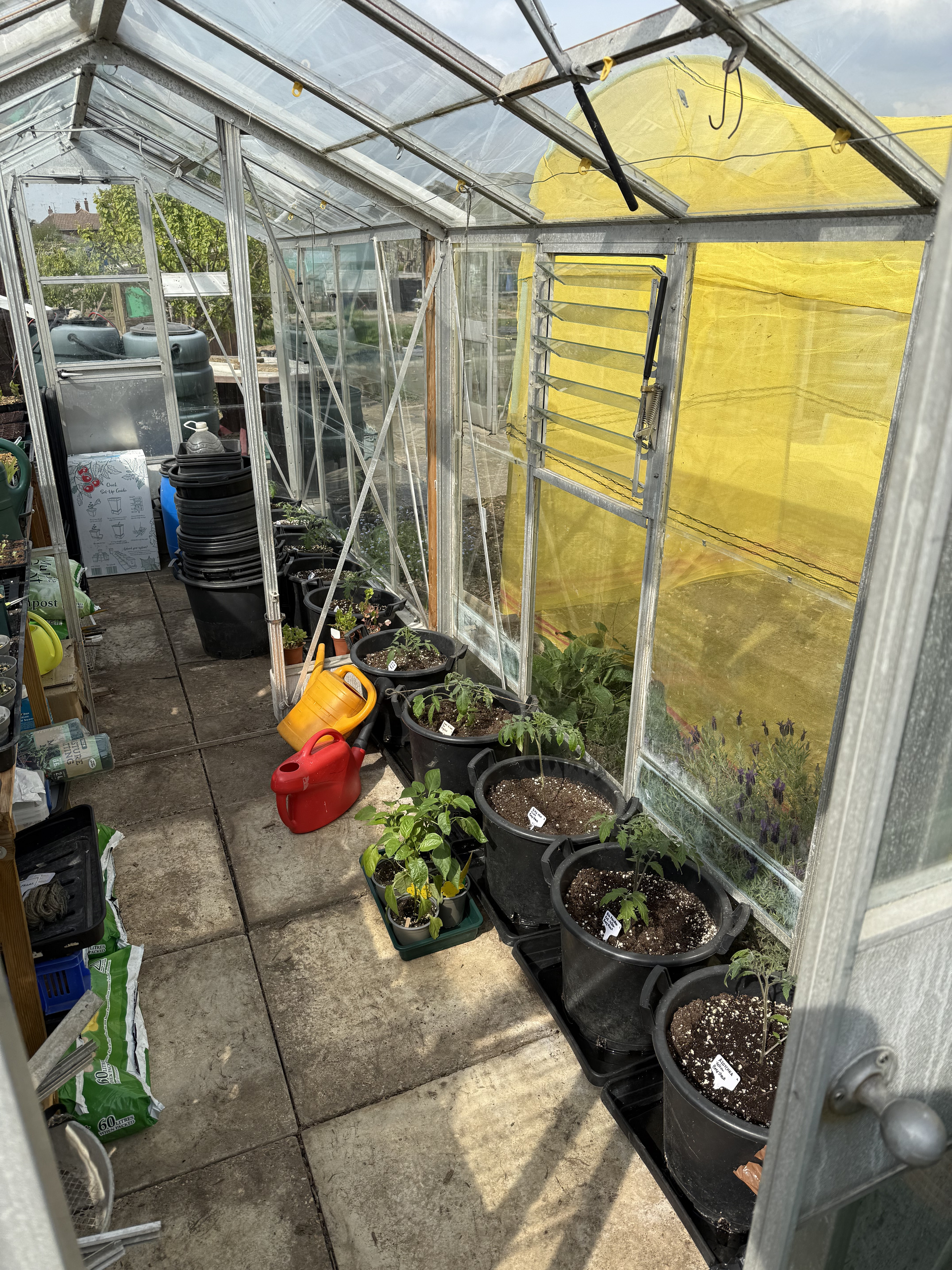 Big greenhouse right side