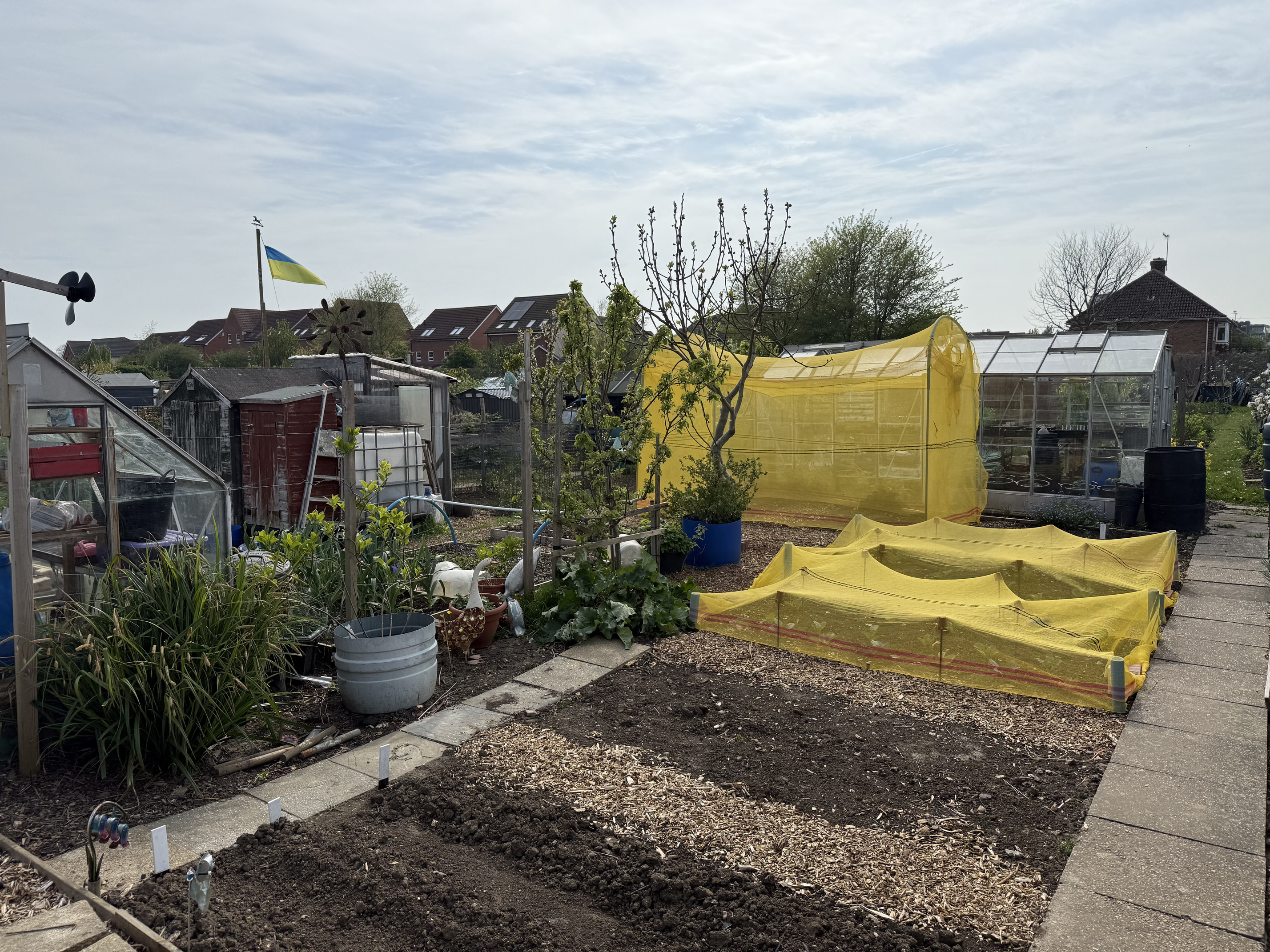 Plot 1 looking towards plot 2